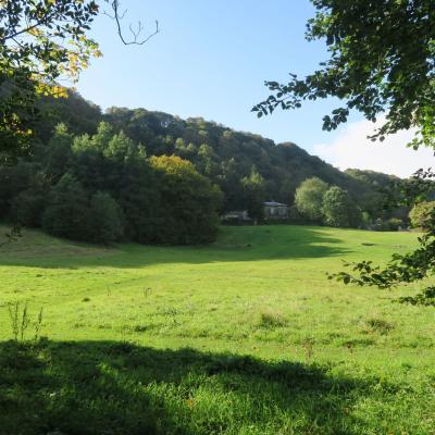 Ewood Wood